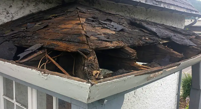 Photo of old roof needing replaced