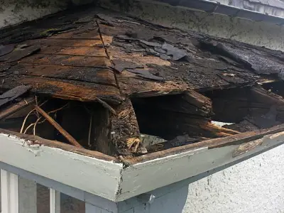 Photo of rotten conservatory roof