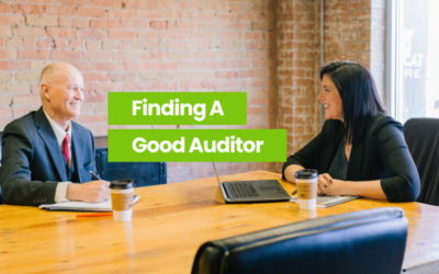 Qualities Of An Auditor