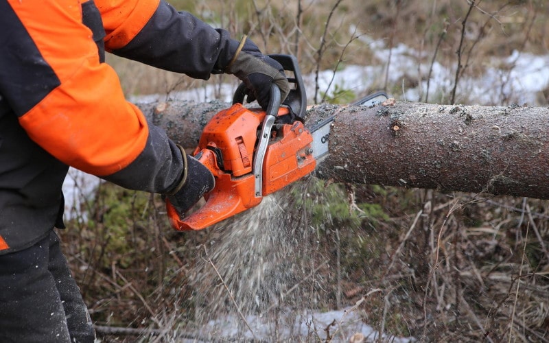 Tree surgeon cutting up a tree branch