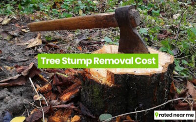 Tree Stump Removal Cost