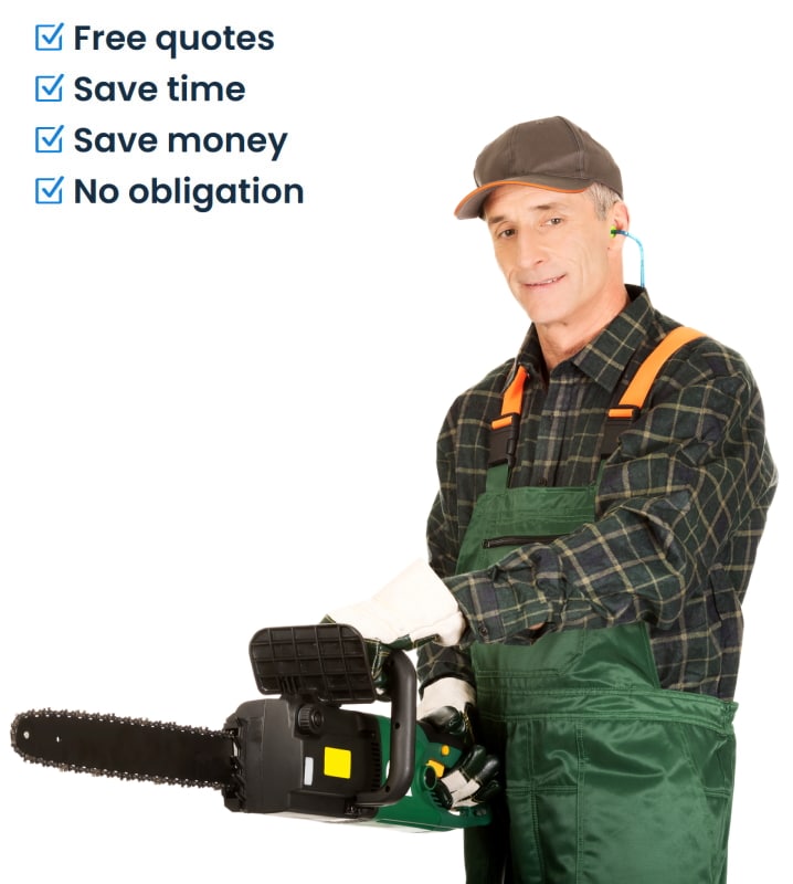 Image of tree surgeon holding chainsaw