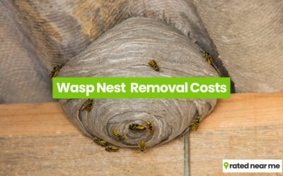 Wasp Nest Removal Cost